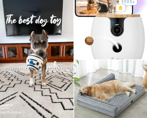 Black Friday pet deals🔥 cover photo collage
