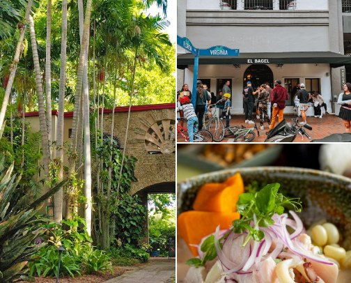 Activities to do in Miami (like actually) cover photo collage