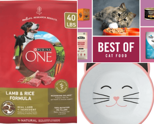 Pets cover photo collage