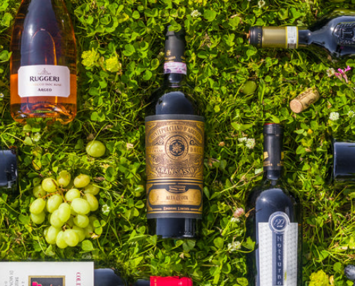 Wine cover photo collage