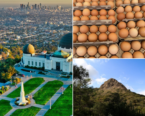 Things to do • Los Angeles cover photo collage