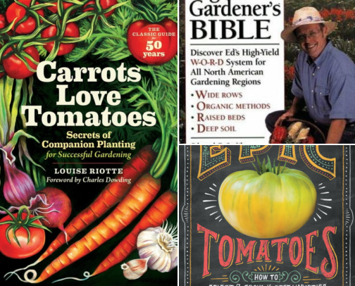 Companion Planting Products That Actually Fixed My Beetle-Destroyed Tomato Garden cover photo collage