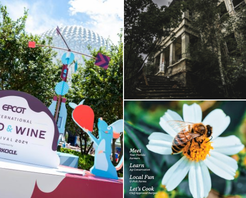 Florida Fall cover photo collage