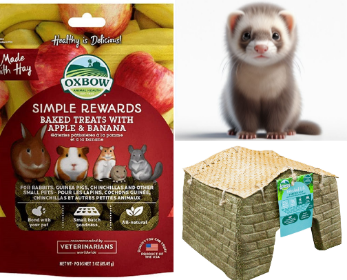 Essentials 'n' Extras for Small Pet Owners 🐹🐇 cover photo collage