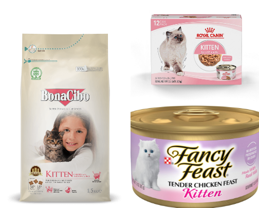 🐯 Kitten Food My Kittens Have Tried and Loved cover photo collage