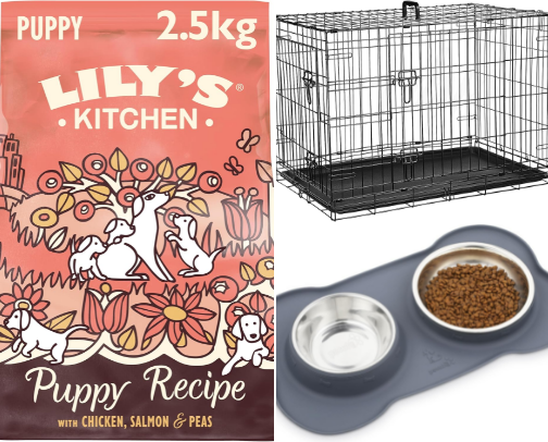 Preparing for a New Dog 🐶 | Everything You Actually Need cover photo collage