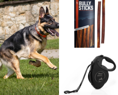 Dog Mom Recommendations cover photo collage