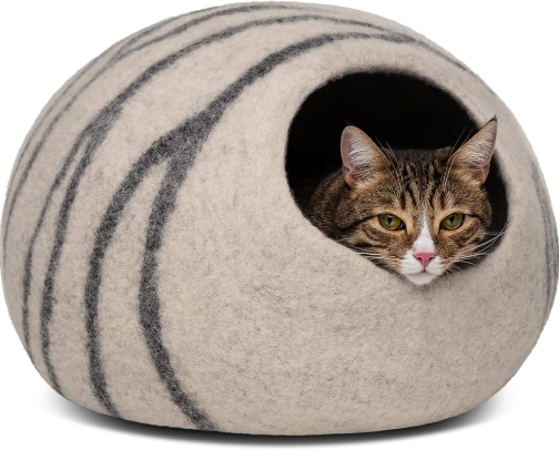 Cat Upgrade Essentials: Comfort, Health & Happiness cover photo collage