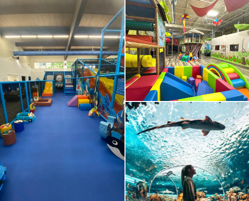 Fun Winter Toddler Activies in Niagara, ON 🇨🇦 cover photo collage