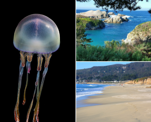 Routes & Retreats: Travel cover photo collage