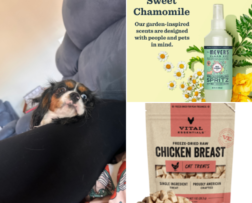 Pets 🐶🐈‍⬛🐾 cover photo collage