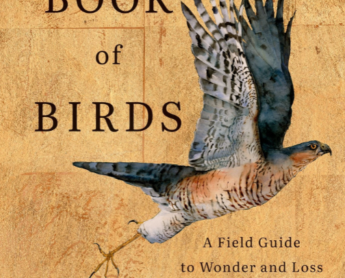 Award-Worthy Nature Read – The Book of Birds cover photo collage