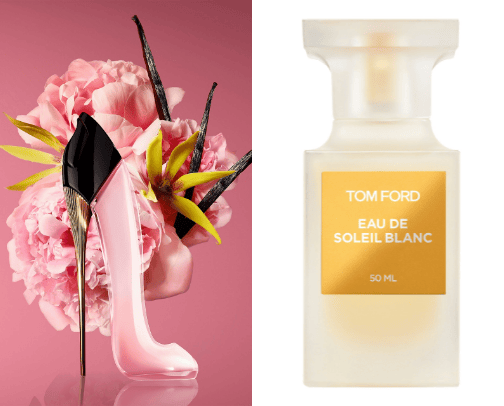 TOP 10 Eau de parfum✨ cover photo collage