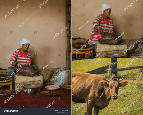 Shutterstock hard finds cover photo collage