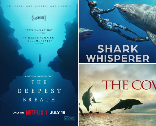 Content for when I miss the ocean. cover photo collage