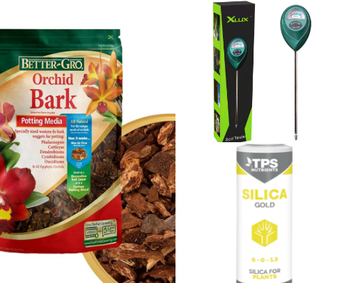 🪴 Welcome To My Jungle… Just A Plant Fanatic 🪴 cover photo collage