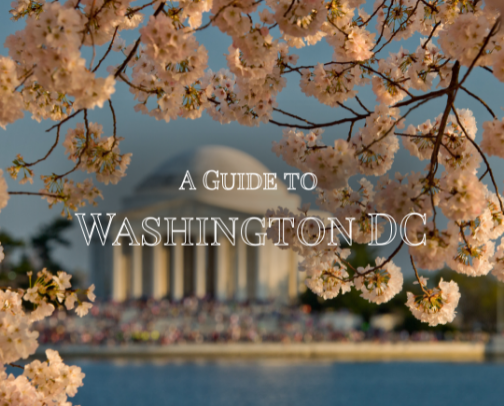 Washington, DC: Where to Eat, Play, and Stay cover photo collage