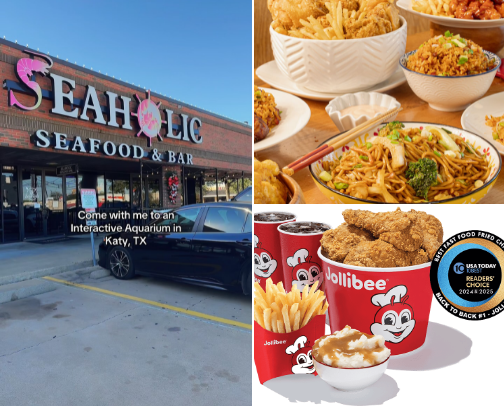 My top Houston recs cover photo collage
