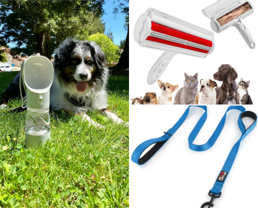 Tried and tested dog accessories that make life easier for you and your pup! cover photo collage