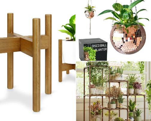 Beginner Plant Essentials cover photo collage