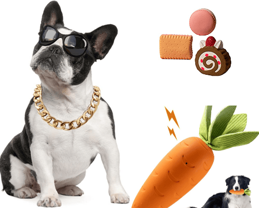 pets essentials 🐾 cover photo collage