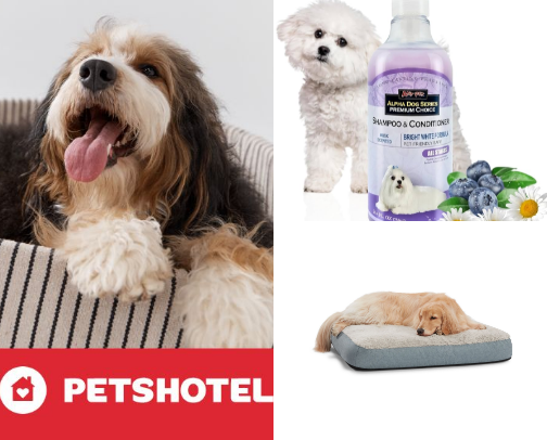 Must-Have PetSmart Products for Dogs & Pets cover photo collage