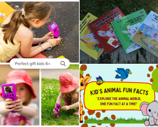 BRAVE LITTLE FINDS cover photo collage