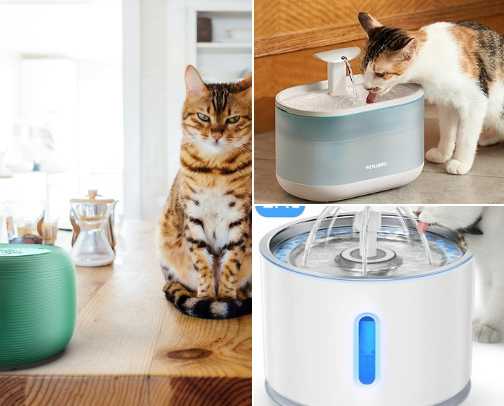 Upgrade your cat’s drinking game with these water fountains cover photo collage