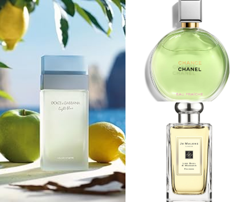 Fresh & Citrus Fragrances cover photo collage