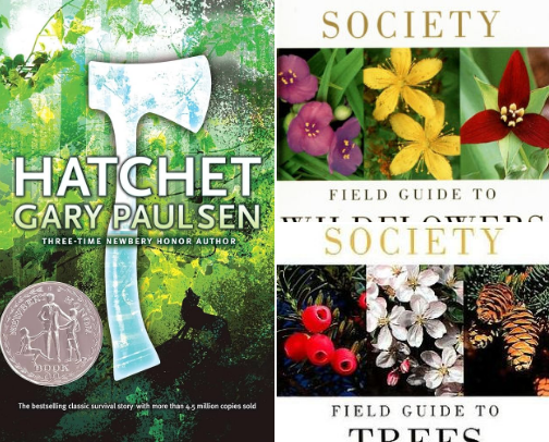 My favorite book recs cover photo collage