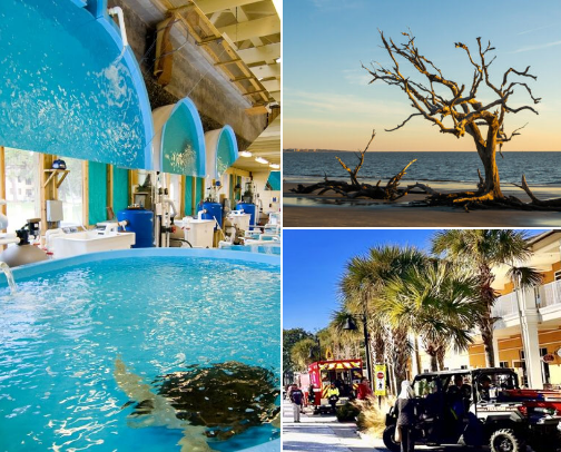 Jekyll Island To Do List cover photo collage