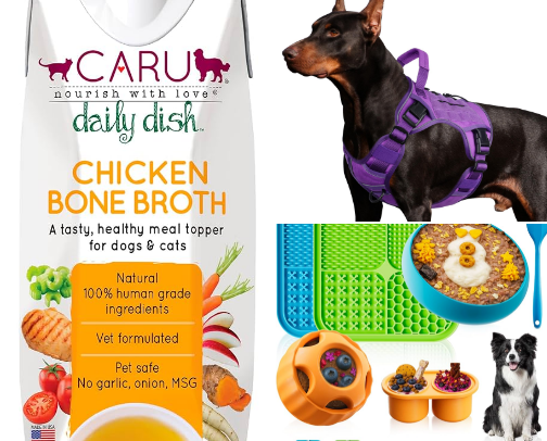 Pet recommendations cover photo collage