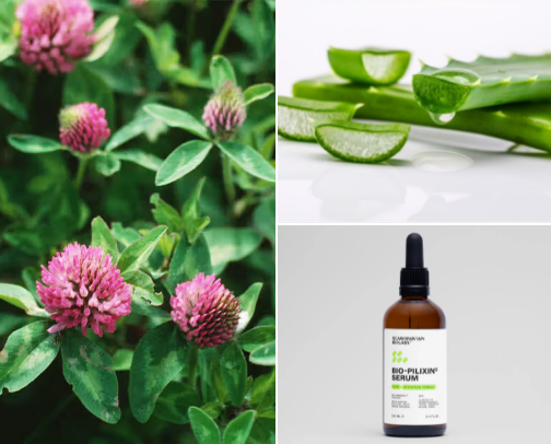 Natural Treatments for Hair Loss and Regeneration cover photo collage