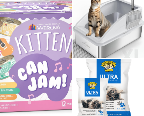 Kitten Essentials cover photo collage