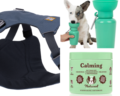 Paws on the Go: Travel Essentials cover photo collage