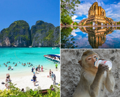 Thailand Travel Guide: Best Places to Eat, Shop & Explore cover photo collage