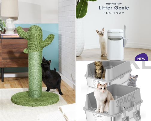Spoiled cat favorites 🐈 cover photo collage