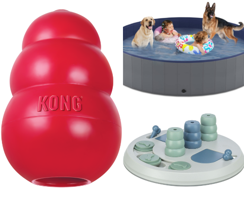Essential Dog Supplies Every Pet Parent Needs 🐶🐾 cover photo collage