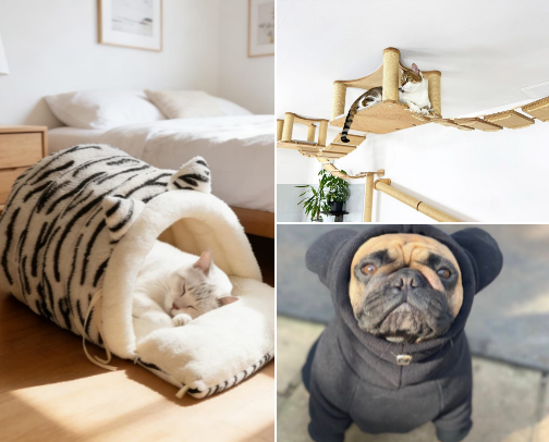 Must-Have Pet Supplies for Happy Pets cover photo collage