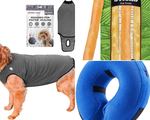 Post neuter essentials for your dog 🐶 cover photo collage