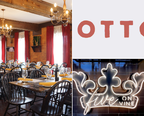 Travel - Cincinnati - WHO DEY!!! cover photo collage