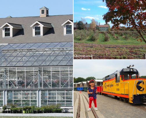 Best Pumpkin Patches near Boston for Instagram Worthy Pictures cover photo collage