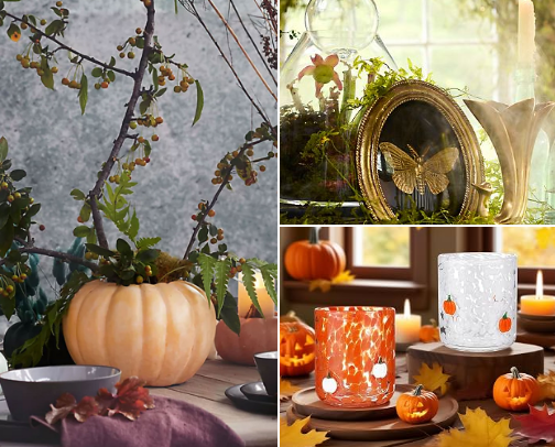 Anthropologie Inspired Fall Vibes cover photo collage