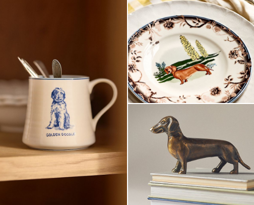 A Residential Designer's Anthropologie Dog Finds cover photo collage