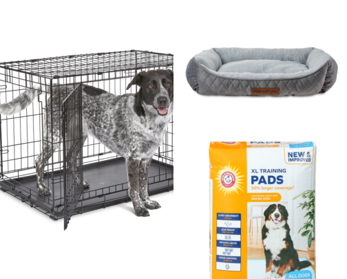 I Adopted a Rescue Dog With Zero Supplies and Here Is What I Grabbed cover photo collage