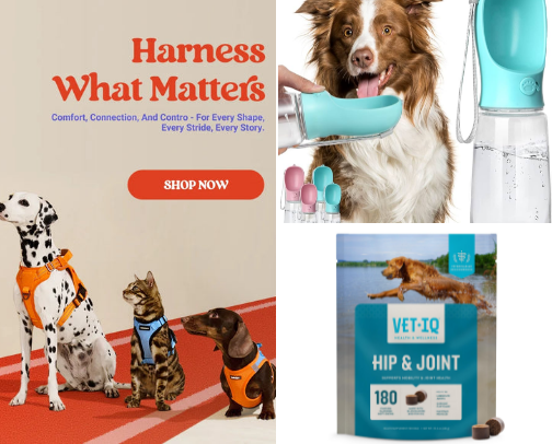 Dog lover's essentials for your fur babies cover photo collage