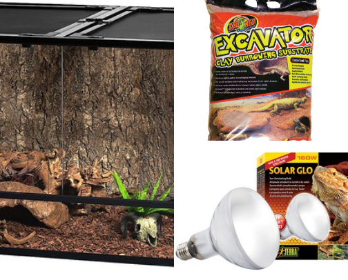 Bearded Dragon Bluey Must Haves cover photo collage