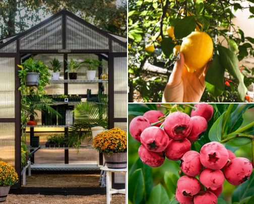 Dream Garden finds! My top favorite things for gardening! cover photo collage
