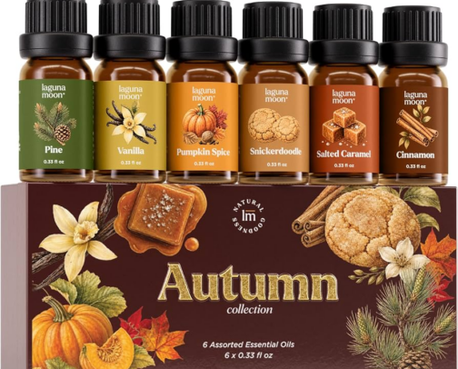Fall Scents That Make Your Home Smell Like Autumn 🍂 cover photo collage