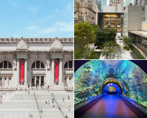 Place to visit in NYC cover photo collage